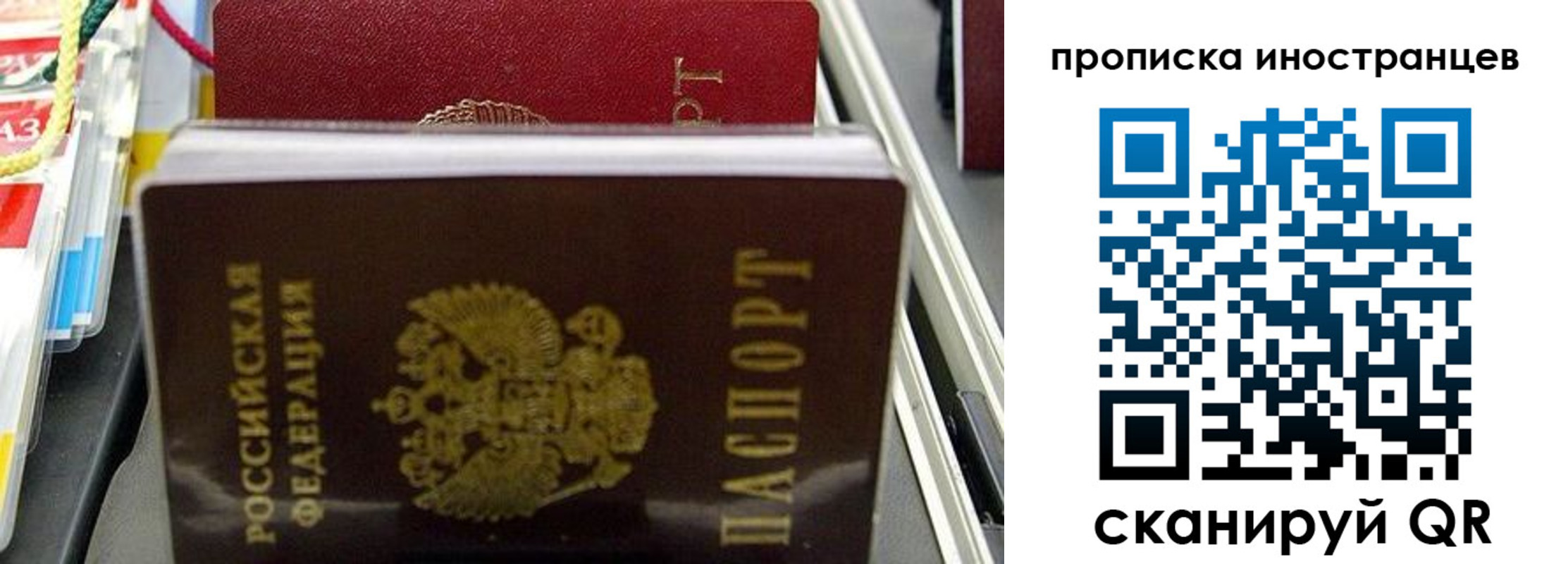 прописка для школы в Вязьме